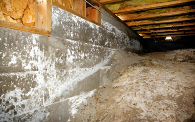 7 Common Signs of Crawl Space Mold