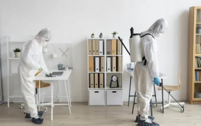 Mold Testing Explained: How to Keep Your Home Safe