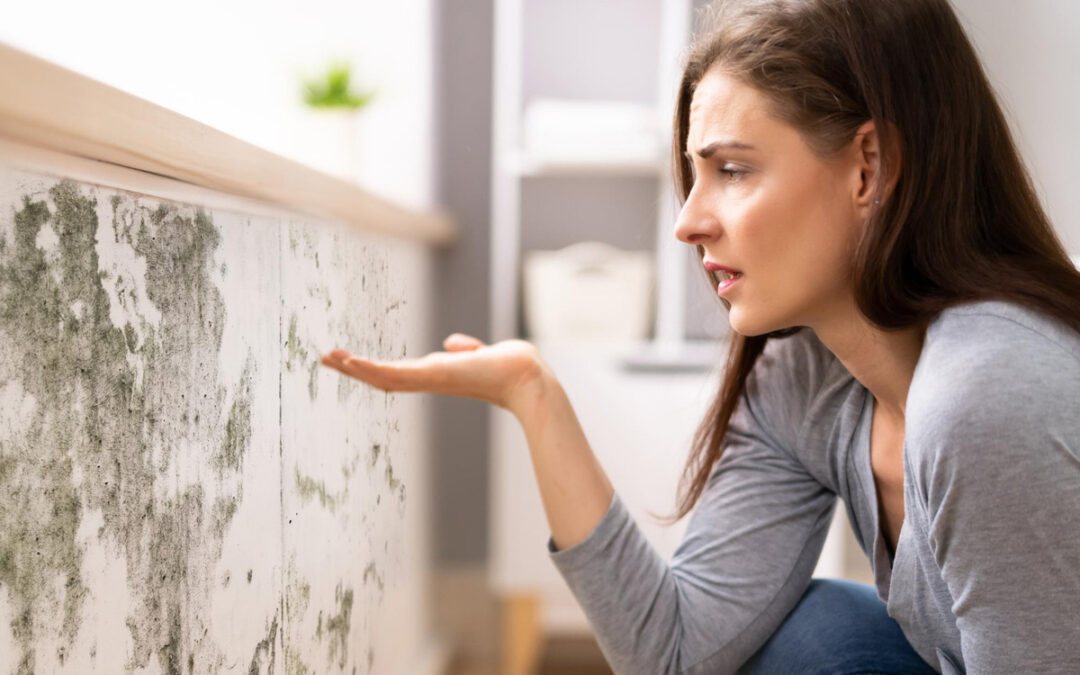 11 Signs of Hidden Mold in the House and How to Find Them