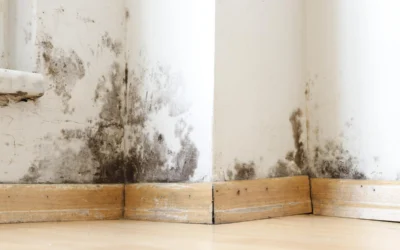 How Much Does Mold in the Home Devalue It